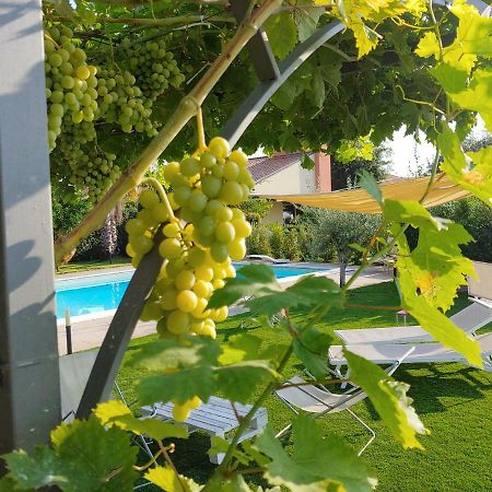 Etna Bike Holiday Zafferana Etnea Zewnętrze zdjęcie