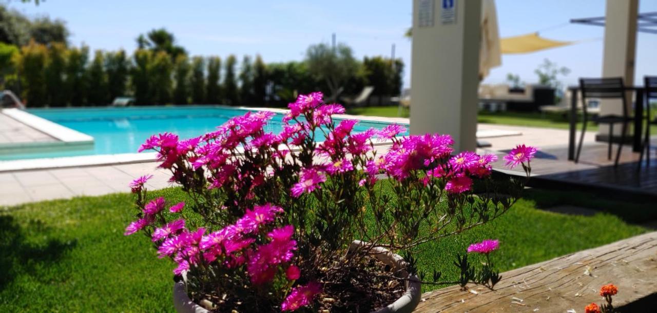 Etna Bike Holiday Zafferana Etnea Zewnętrze zdjęcie
